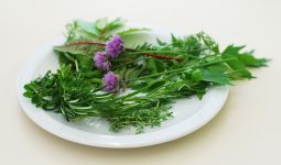 essential oils and herbs cooking