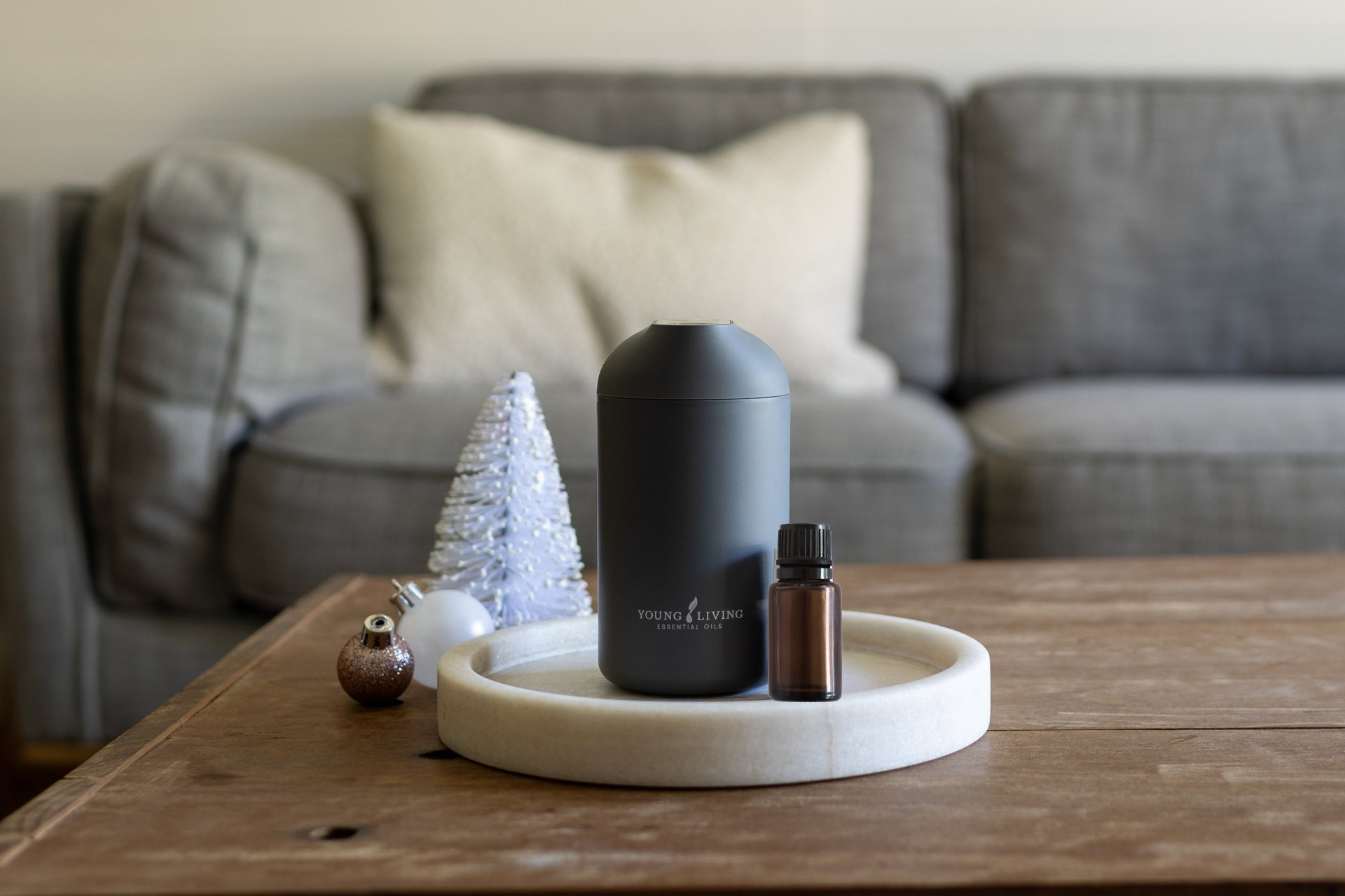 Christmas-diffuser.png Christmas-diffuser.png