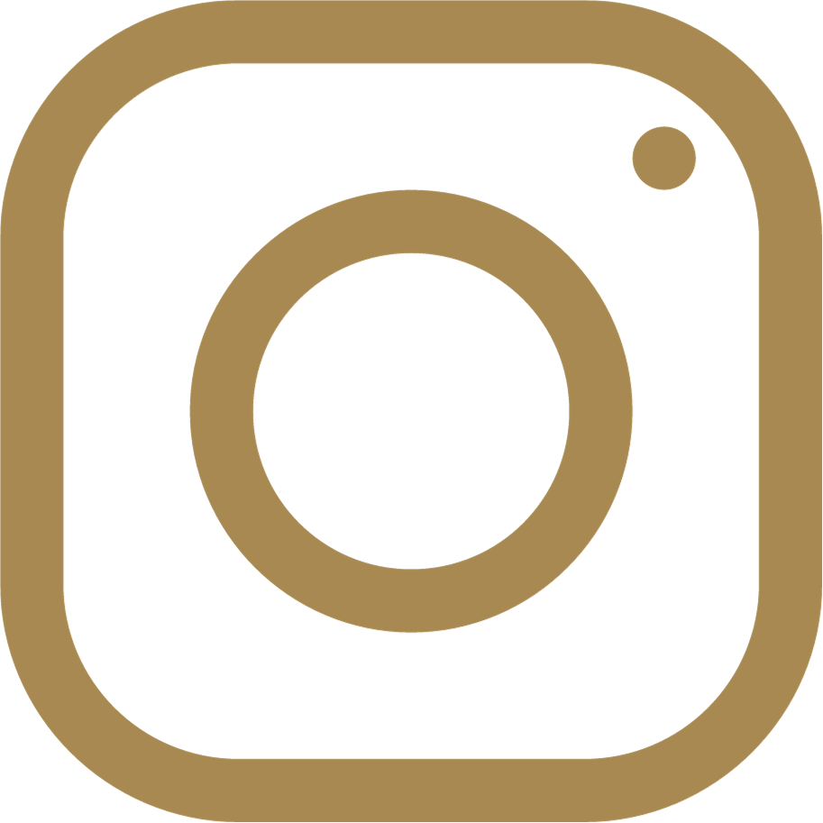 Instagram icon