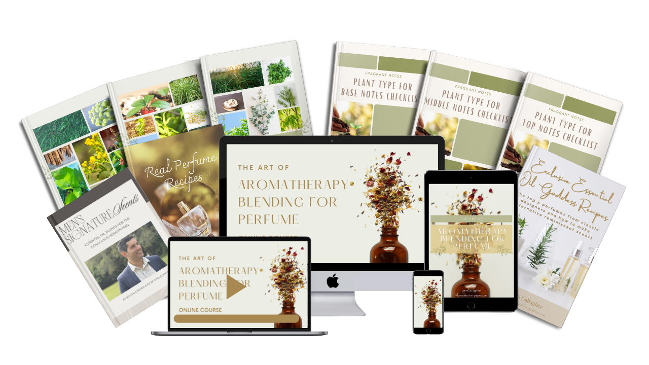 Perfume course - offer.png